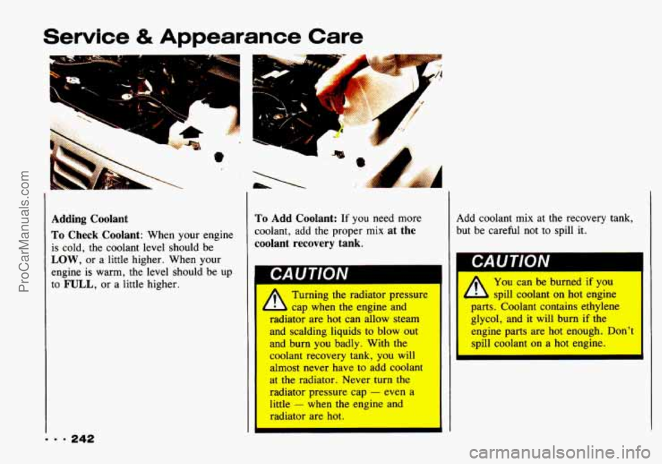 CHEVROLET TRACKER 1993  Owners Manual Service & Appearance Care 
Adding  Coolant 
To Check  Coolant: When your  engine 
is cold,  the coolant level  should  be 
LOW, or  a little higher.  When your 
engine  is warm,  the level  should  be
