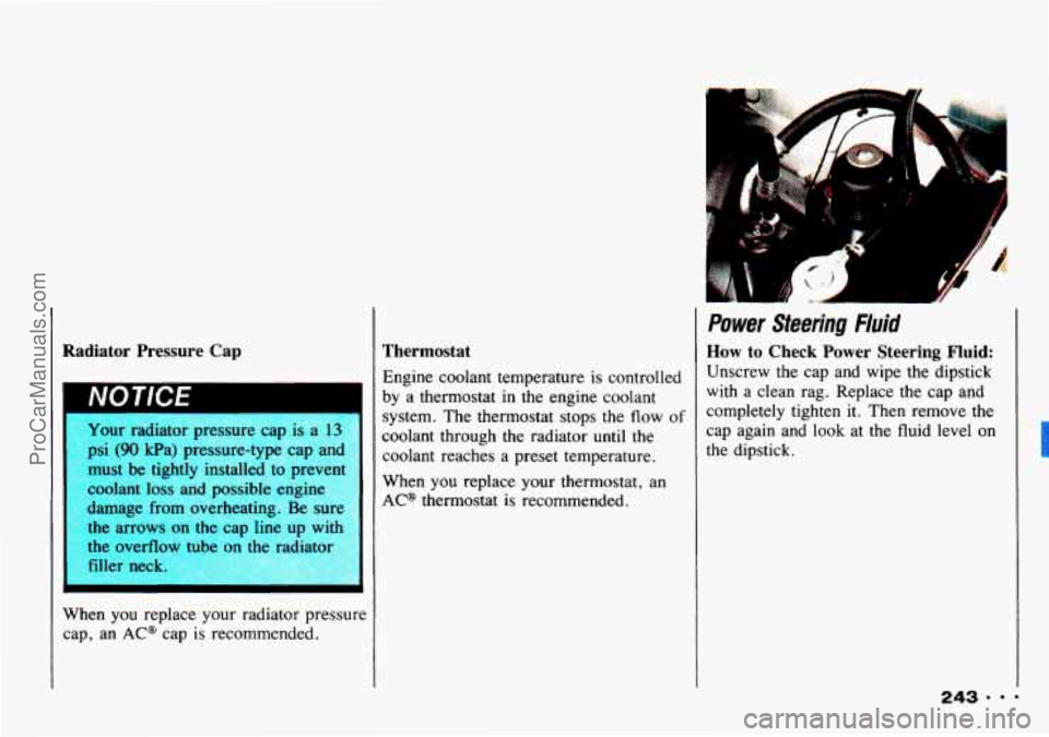 CHEVROLET TRACKER 1993  Owners Manual Radiator  Pressure  Cap 
IVU I IIJt 
Your  radiator pressure  cap is a 13 
- i (90 kPa)  pressure-type  cap and 
must  be  tightly  installed  to prevent 
coolant 
loss and  possible  engine 
damage  