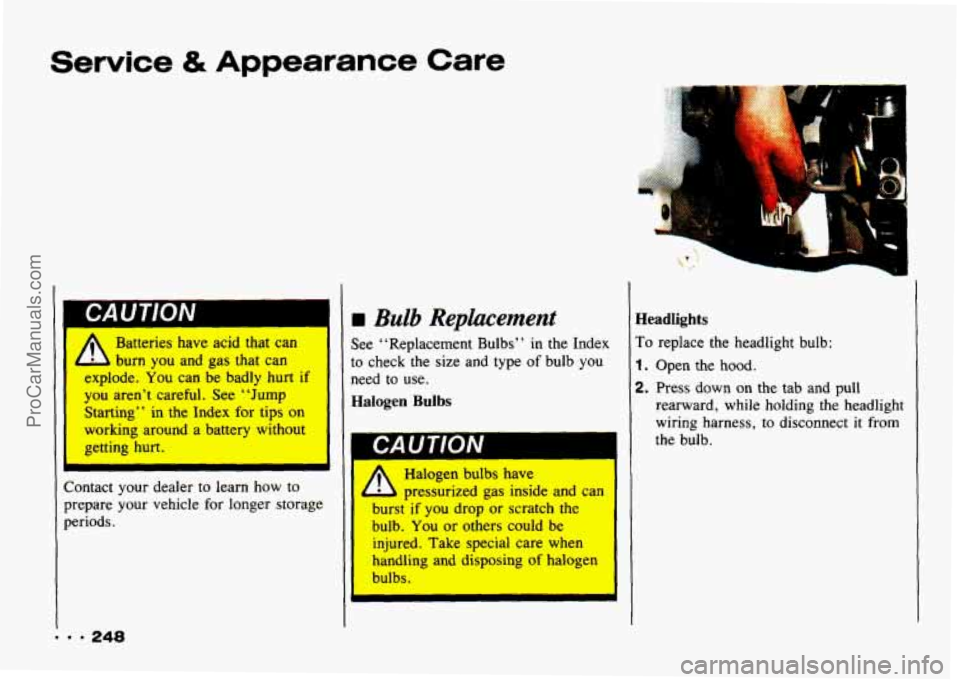 CHEVROLET TRACKER 1993  Owners Manual Service & Appearance Care 
I- ‘.-I 
hdrm . 
rn Bulb Replacement I LUU 1 lUIV 
~ A Batteries  have  acid  that can 
burn  you  and  gas that  can 
explode. 
You can  be badly hurt if 
you  aren’t  