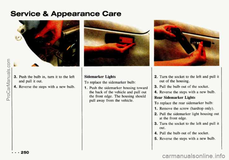 CHEVROLET TRACKER 1993  Owners Manual Service & Appearance  Care 
3. Push  the  bulb in, turn it to the left 
4. Reverse the steps with a new  bulb. 
and 
pull it out. 
Sidemarker  Lights 
To  replace 
the  sidemarker bulb: 
1. Push the  