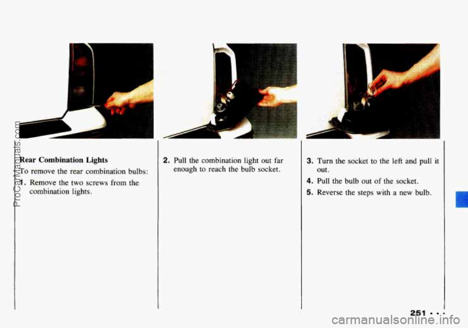CHEVROLET TRACKER 1993  Owners Manual i -- 
Rear  Combination  Lights 
To remove the rear  combination  bulbs: 
1. Remove  the  two  screws from the 
combination  lights. 
2. Pull the  combination  light  out  far 
enough  to reach  the  