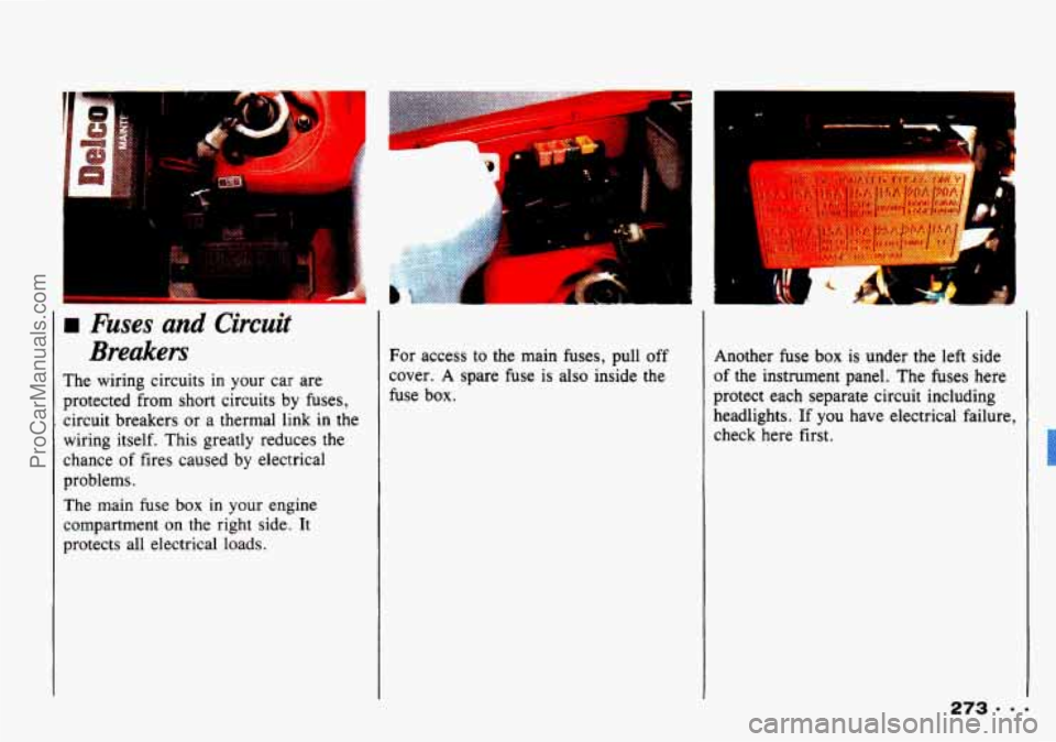 CHEVROLET TRACKER 1993 Owners Manual 1
I Fuses and Circuit
Breakers
The wiring circuits in your car are
protected from short circuits
by fuses,
circuit breakers
or a thermal link in the
wiring itself. This greatly reduc CHEVROLET TRACKER 1993 Owners Manual 1
I Fuses and Circuit
Breakers
The wiring circuits in your car are
protected from short circuits
by fuses,
circuit breakers
or a thermal link in the
wiring itself. This greatly reduc