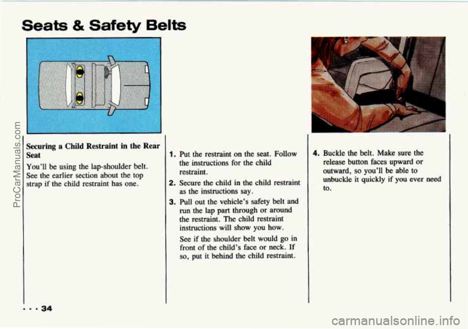 CHEVROLET TRACKER 1993 Owners Guide Seats & Safety Belts 
Securing  a Child Restraint  in  the  Rear 
Seat 
You’ll  be using  the  lap-shoulder  belt. 
See  the  earlier section  about  the top 
strap 
if the  child  restraint  has  o