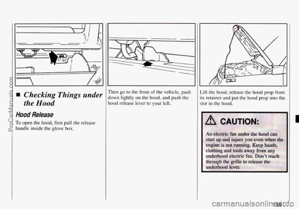 CHEVROLET TRACKER 1994 Owners Manual Checking Things under
the Hood
Hood Release
To open the hood, first pull the release
nandle inside the glove
box.
I
rhen go to the front of the vehicle, push
lown lightly on the CHEVROLET TRACKER 1994 Owners Manual Checking Things under
the Hood
Hood Release
To open the hood, first pull the release
nandle inside the glove
box.
I
rhen go to the front of the vehicle, push
lown lightly on the