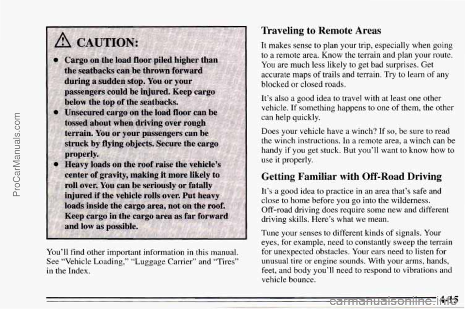 CHEVROLET TRACKER 1995 Owners Manual Traveling  to  Remote  Areas 
You’ll find  other  important information  in this manual. 
See  “Vehicle  Loading,” “Luggage Carrier” and “Tires” 
in  the Index.  It 
makes 
sense to  pla