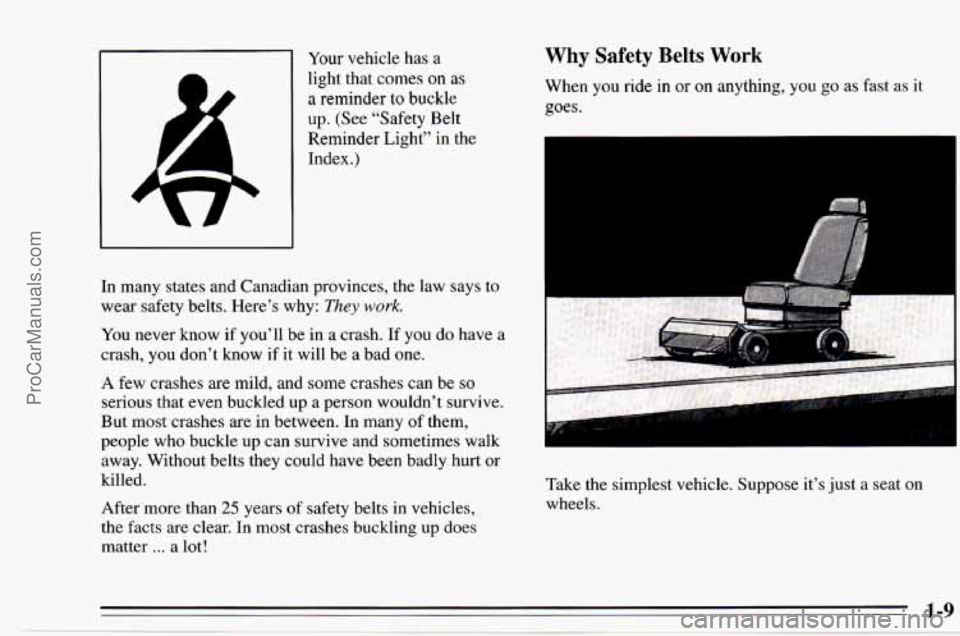 CHEVROLET TRACKER 1995 User Guide Your vehicle has a 
light that  comes 
on as 
a reminder to buckle 
up. (See “Safety Belt 
Reminder Light”  in the 
Index.) 
In  many  states and Canadian provinces, the  law says to 
wear safety 