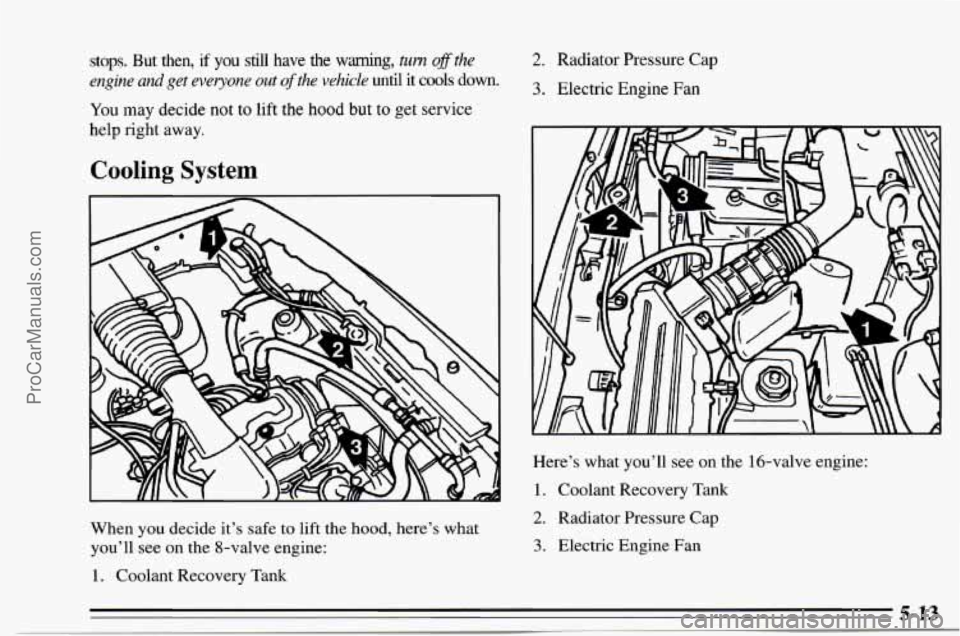 CHEVROLET TRACKER 1995  Owners Manual stops.  But  then, if you still have  the  warning, turn ofthe 
engine 
and get everyone out of the  vehicle until  it  cools  down. 
You may  decide not to lift  the hood but to get service 
help rig