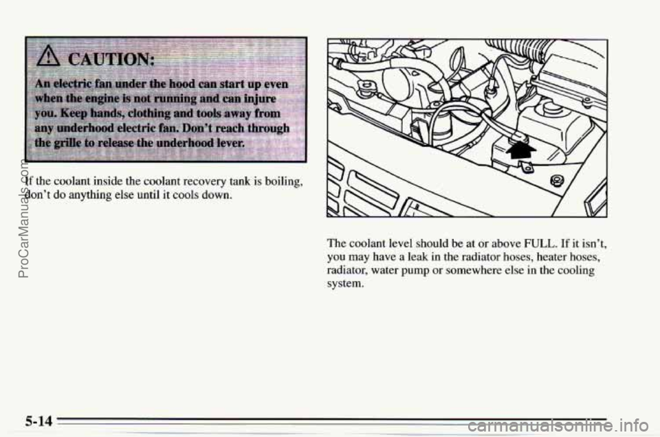 CHEVROLET TRACKER 1995  Owners Manual If the coolant inside the coolant recovery  tank  is boiling, 
don’t  do anything 
else until  it cools  down. 
The coolant level  should  be  at or above 
FULL. If it isn’t, 
you may  have  a  le