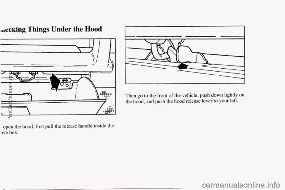 CHEVROLET TRACKER 1995  Owners Manual ..lecking Things Under the Hood 
open the hood, first pull  the release handle inside the 
we box. 
Then go to the front of the vehicle,  push  down lightly on 
the hood,  and  push the hood  release 