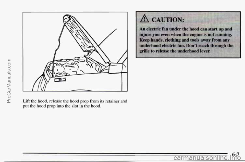 CHEVROLET TRACKER 1995  Owners Manual Lift the hood, release  the hood prop from  its retainer and 
put  the hood 
prop into the slot in  the  hood. 
6-7 
ProCarManuals.com 