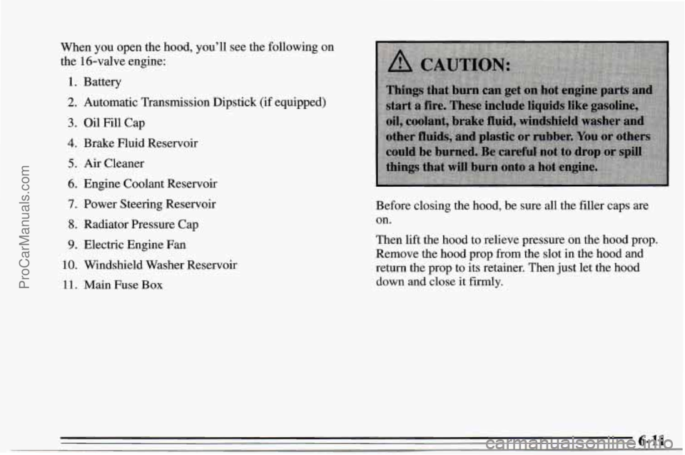 CHEVROLET TRACKER 1995  Owners Manual When you open  the  hood,  you’ll  see  the  following  on 
the  16-valve  engine: 
1. Battery 
2. Automatic  Transmission  Dipstick (if equipped) 
3. Oil  Fill  Cap 
4. Brake  muid  Reservoir 
5. A