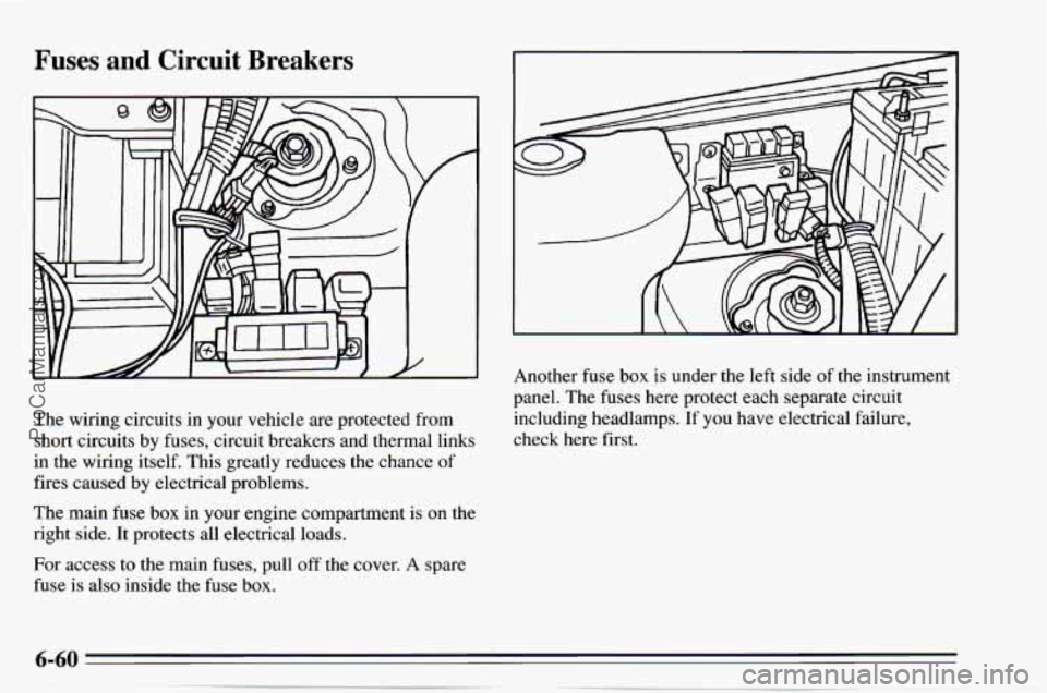 CHEVROLET TRACKER 1995 User Guide Fuses and Circuit Breakers
The wiring circuits in your vehicle are protected from
short circuits by fuses, circuit breakers and thermal links
in the wiring itself. This greatly re CHEVROLET TRACKER 1995 User Guide Fuses and Circuit Breakers
The wiring circuits in your vehicle are protected from
short circuits by fuses, circuit breakers and thermal links
in the wiring itself. This greatly re