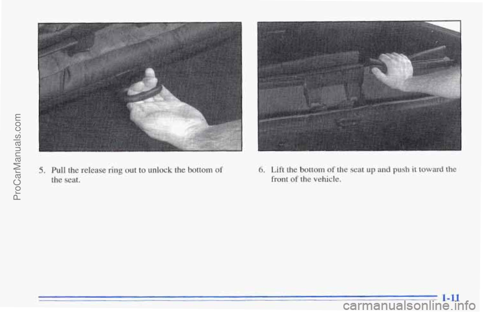 CHEVROLET TRACKER 1996 User Guide 5. Pull the release ring out to unlock the bottom of 
the seat. 
6. Lift the bottom of the  seat up and push it toward the 
front of the vehicle. 
- 1-11 
ProCarManuals.com 
