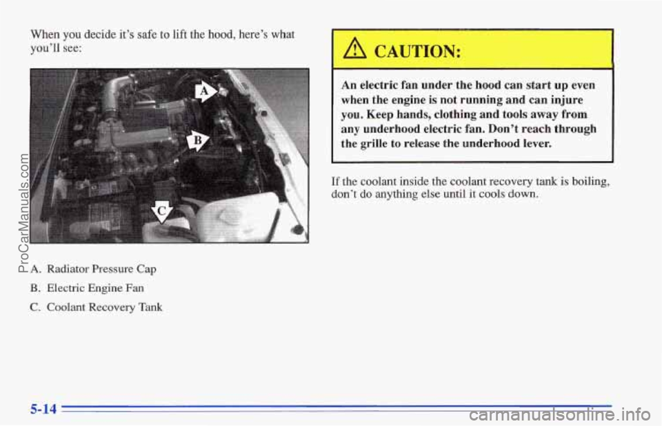 CHEVROLET TRACKER 1996 Owners Manual When you decide it’s safe to lift the hood, here’s what
you’ll
see:
c
A. Radiator Pressure Cap
B. Electric Engine Fan
C. Coolant Recovery Tank
A CAUTION:
An electric fan under the h CHEVROLET TRACKER 1996 Owners Manual When you decide it’s safe to lift the hood, here’s what
you’ll
see:
c
A. Radiator Pressure Cap
B. Electric Engine Fan
C. Coolant Recovery Tank
A CAUTION:
An electric fan under the h