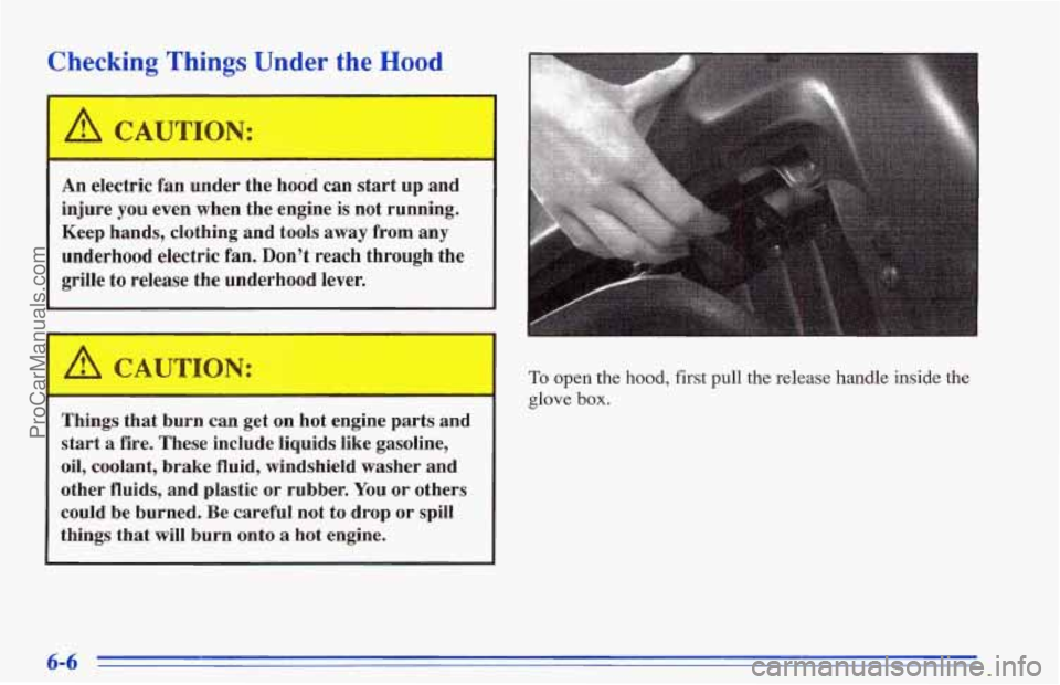 CHEVROLET TRACKER 1996 Owners Manual Checking Things Under the Hood
A CAUTICV: I
An electric fan under the hood can start up and
injure
you even when the engine is not running.
Keep hands, clothing and tools away from any CHEVROLET TRACKER 1996 Owners Manual Checking Things Under the Hood
A CAUTICV: I
An electric fan under the hood can start up and
injure
you even when the engine is not running.
Keep hands, clothing and tools away from any