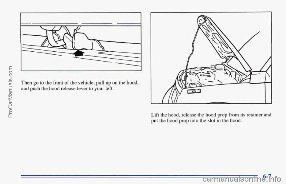 CHEVROLET TRACKER 1996 Owners Manual I I
Then go to the front of the vehicle, pull up on the hood,
and push the hood release lever to your left.
Lift the
hood, release the hood prop from its retainer and
put the hood pr CHEVROLET TRACKER 1996 Owners Manual I I
Then go to the front of the vehicle, pull up on the hood,
and push the hood release lever to your left.
Lift the
hood, release the hood prop from its retainer and
put the hood pr