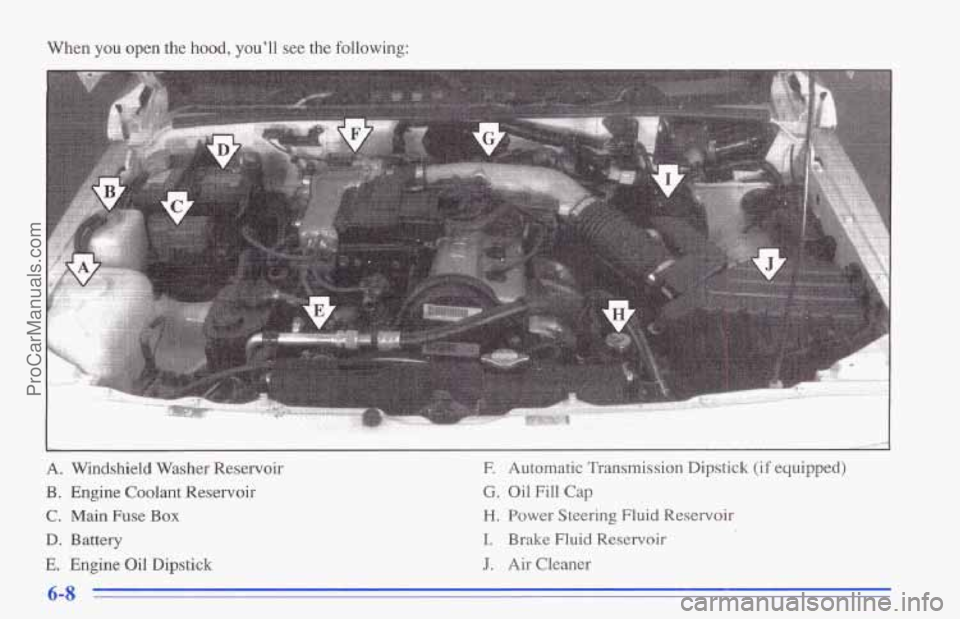 CHEVROLET TRACKER 1996 Owners Manual When you open the hood, you’ll see the following:
c
A. Windshield Washer Reservoir
B. Engine Coolant Reservoir
C. Main Fuse Box
D. Battery
E. Engine Oil Dipstick
E Automatic Transmission Dips CHEVROLET TRACKER 1996 Owners Manual When you open the hood, you’ll see the following:
c
A. Windshield Washer Reservoir
B. Engine Coolant Reservoir
C. Main Fuse Box
D. Battery
E. Engine Oil Dipstick
E Automatic Transmission Dips