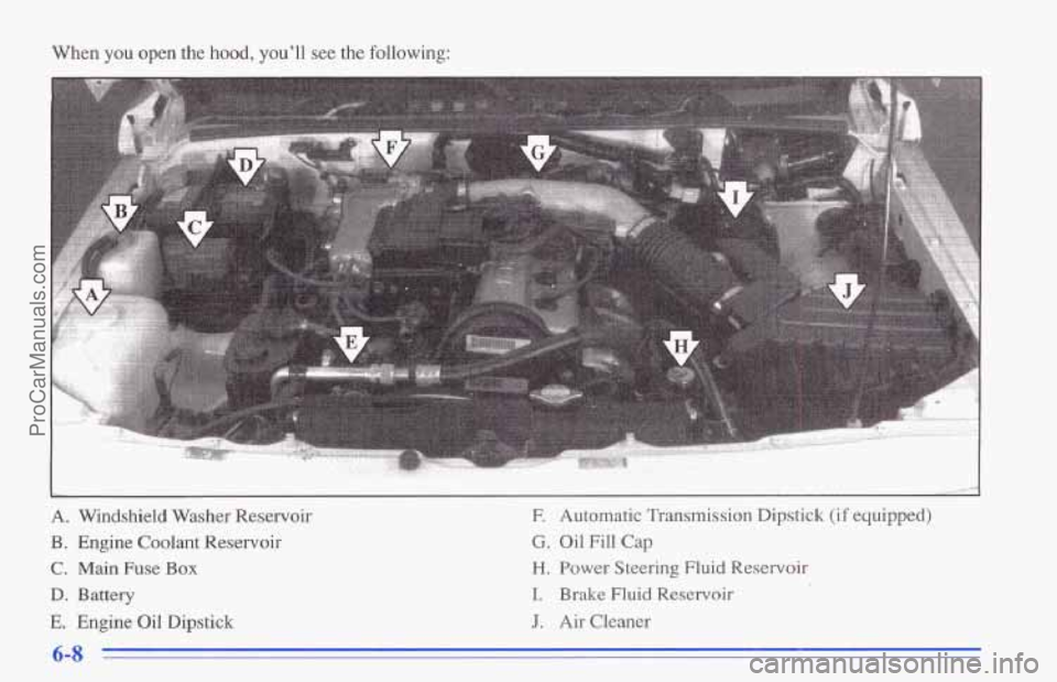 CHEVROLET TRACKER 1996  Owners Manual When you open the hood, you’ll see the following: 
c 
A. Windshield Washer Reservoir 
B. Engine Coolant Reservoir 
C. Main Fuse Box 
D. Battery 
E. Engine Oil Dipstick 
E Automatic Transmission Dips