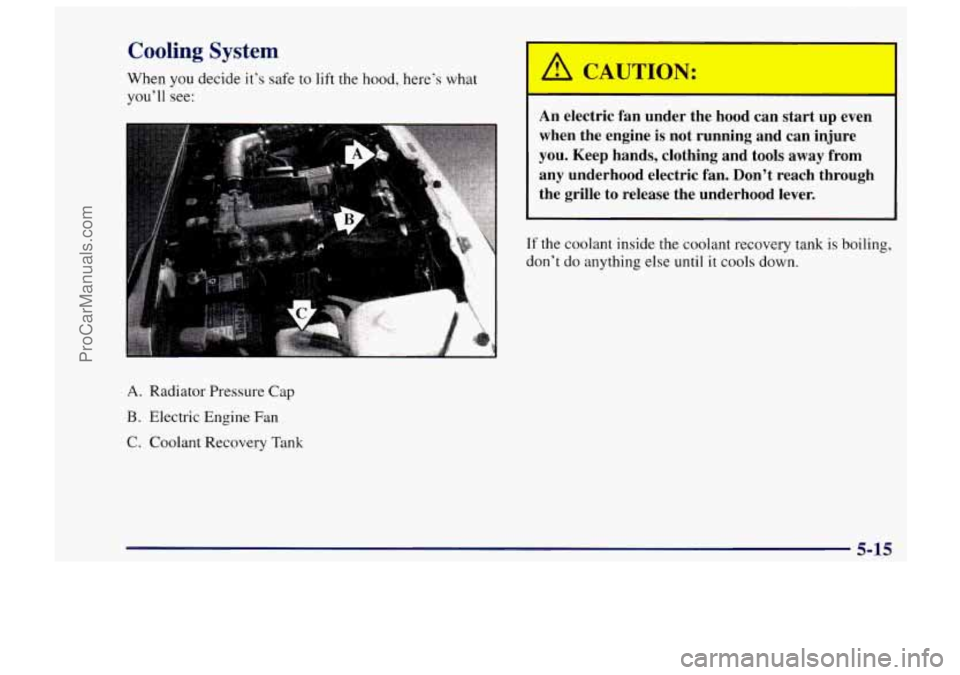 CHEVROLET TRACKER 1997  Owners Manual Cooling System 
When you decide it’s safe  to lift the hood,  here‘s  what 
you’ll see: 
A. Radiator  Pressure  Cap 
B. Electric Engine Fan 
C.  Coolant Recovery  Tank 
5-15 
I 
ProCarManuals.co