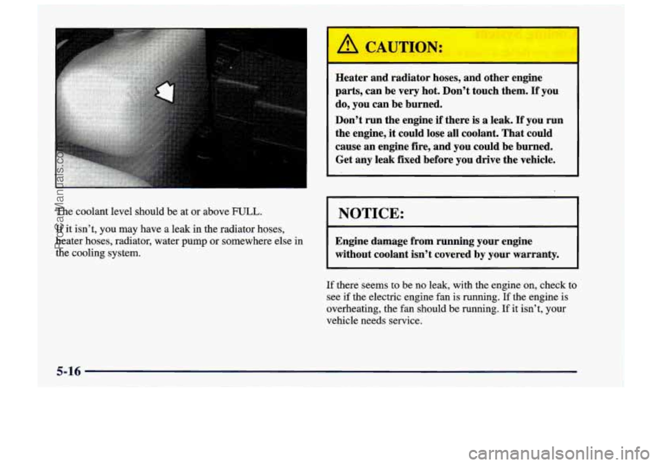 CHEVROLET TRACKER 1997 User Guide 1
The coolant level should be at or above FULL.
If it isn’t, you may have a leak in the radiator hoses,
heater hoses, radiator, water pump or somewhere else in
the cooling system CHEVROLET TRACKER 1997 User Guide 1
The coolant level should be at or above FULL.
If it isn’t, you may have a leak in the radiator hoses,
heater hoses, radiator, water pump or somewhere else in
the cooling system