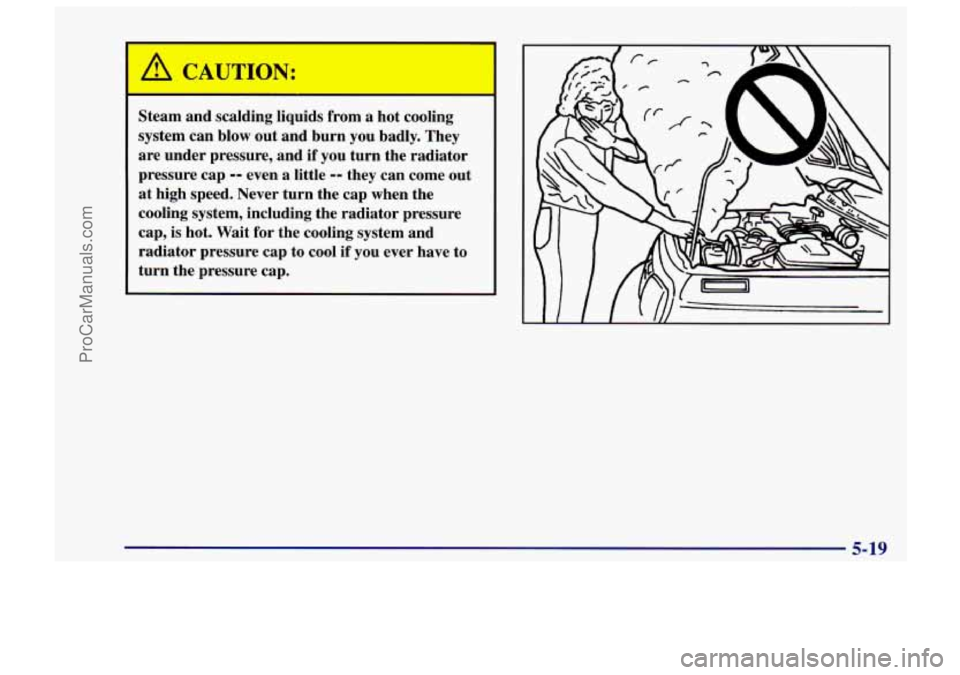 CHEVROLET TRACKER 1997  Owners Manual Steam  and scalding liquids  from  a  hot  cooling 
system  can blow  out  and  burn  you  badly.  They 
are  under  pressure,  and  if  you turn the  radiator 
pressure  cap 
-- even a little -- they