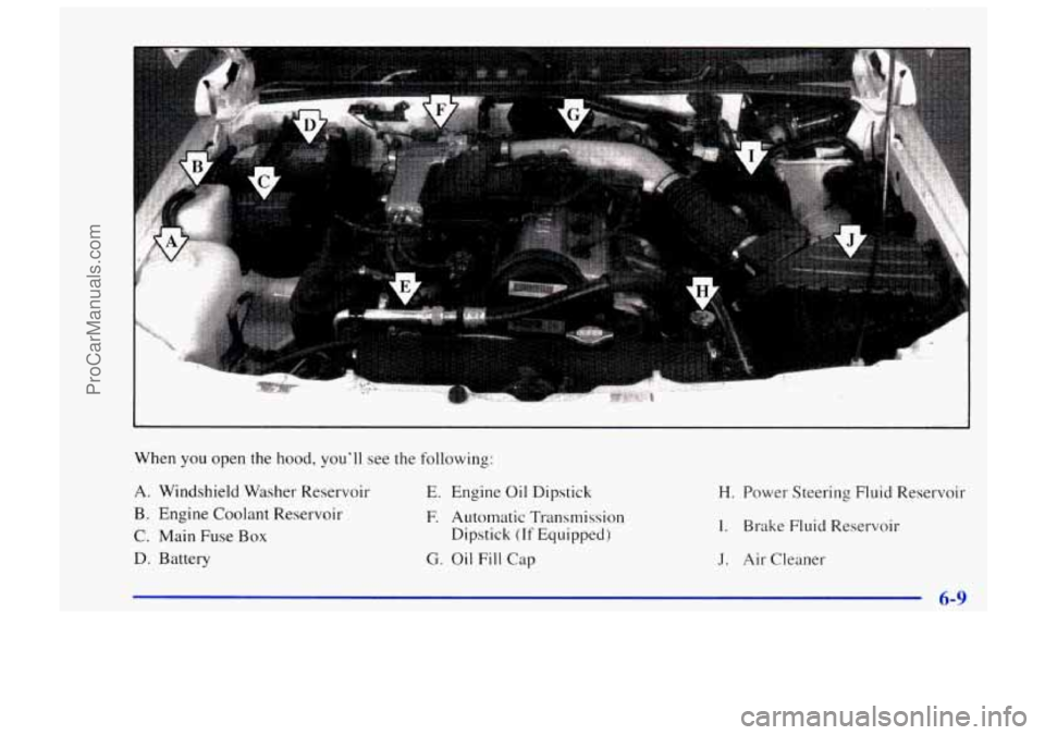 CHEVROLET TRACKER 1997 Owners Manual J
When you open the hood, you’ll see the following:
A. Windshield Washer Reservoir
B. Engine Coolant Reservoir
C. Main Fuse Box
D. Battery
E. Engine Oil Dipstick
F. Automatic Transmiss CHEVROLET TRACKER 1997 Owners Manual J
When you open the hood, you’ll see the following:
A. Windshield Washer Reservoir
B. Engine Coolant Reservoir
C. Main Fuse Box
D. Battery
E. Engine Oil Dipstick
F. Automatic Transmiss