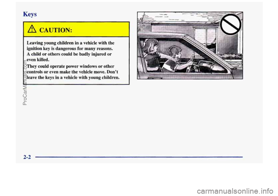 CHEVROLET TRACKER 1997 Workshop Manual Keys 
I 
Leaving  young  children  in  a  vehicle  with  the 
ignition  key  is  dangerous  for  many  reasons. 
A child or others  could  be badly  injured  or 
even  killed. 
They  could  operate  p