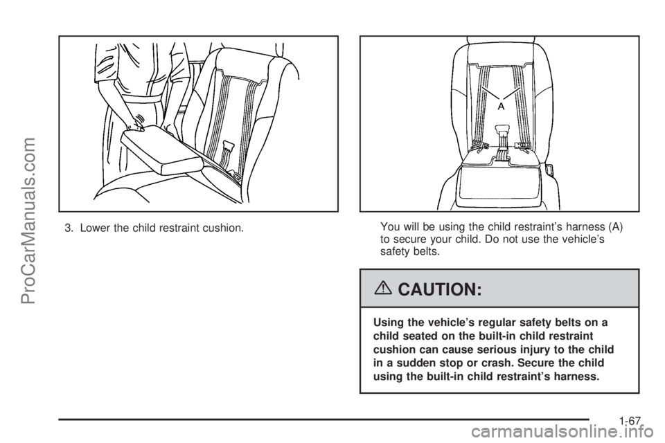 CHEVROLET UPLANDER 2006 Manual PDF 3. Lower the child restraint cushion.You will be using the child restraint’s harness (A)
to secure your child. Do not use the vehicle’s
safety belts.
{CAUTION:
Using the vehicle’s regular safety CHEVROLET UPLANDER 2006 Manual PDF 3. Lower the child restraint cushion.You will be using the child restraint’s harness (A)
to secure your child. Do not use the vehicle’s
safety belts.
{CAUTION:
Using the vehicle’s regular safety