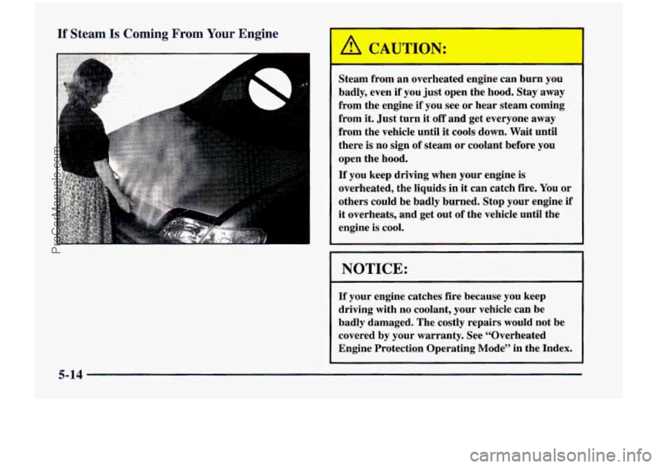 CHEVROLET VENTURE 1998  Owners Manual If Steam Is Coming From Your Engine 
Steam  from  an  overheated engine can  burn  you 
badly, even  if you  just  open  the hood.  Stay  away 
from  the  engine if you  see 
or hear  steam  coming 
f