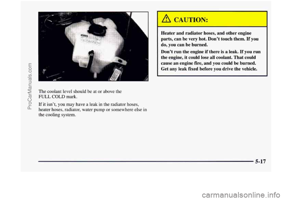 CHEVROLET VENTURE 1998  Owners Manual The coolant  level  should  be at or above  the 
FULL COLD mark. 
If it  isnt,  you  may  have a leak  in  the  radiator  hoses, 
heater  hoses,  radiator,  water  pump  or somewhere  else 
in 
the c