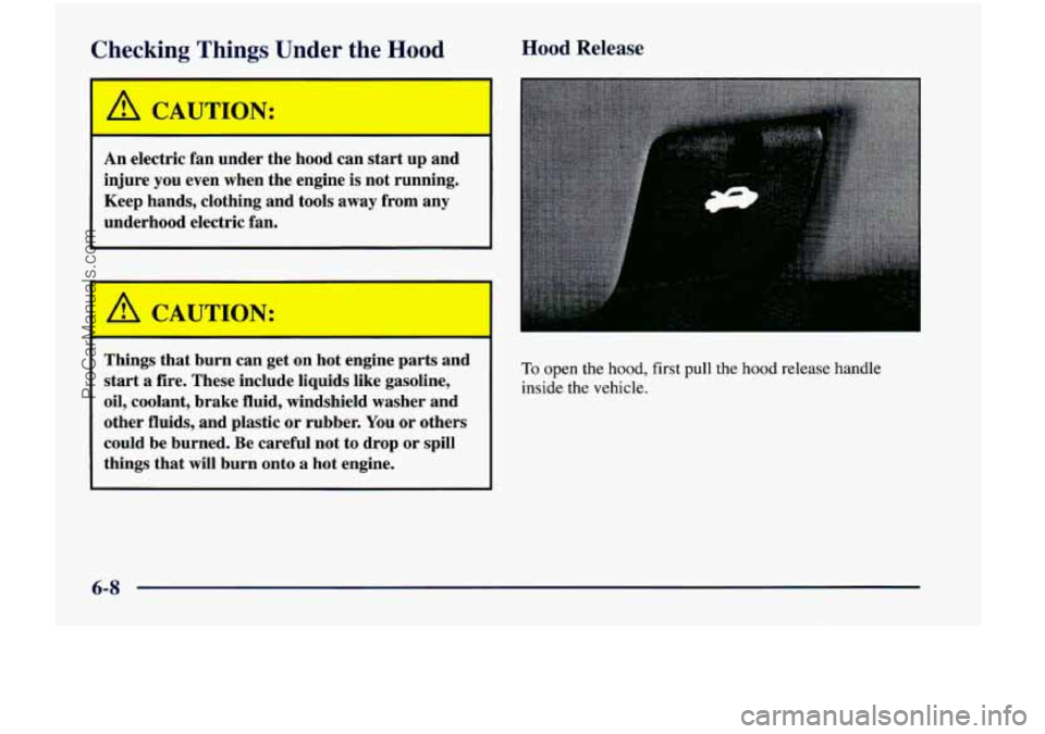 CHEVROLET VENTURE 1998  Owners Manual Checking Things Under  the Hood 
I A CAUTION: I 
An  electric  fan  under  the  hood can  start  up  and 
injure  you  even  when the  engine  is not  running, 
Keep  hands,  clothing  and  tools  awa