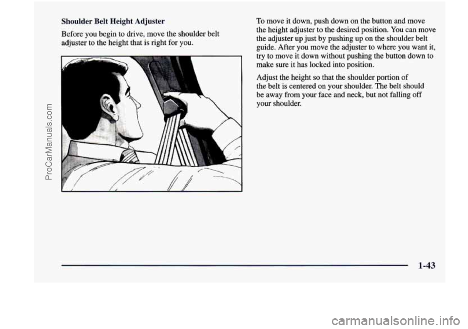 CHEVROLET VENTURE 1998 Workshop Manual Shoulder  Belt  Height Adjuster To move  it down, push  down  on the  button  and  move 
Before  you  begin  to  drive,  move the shoulder  belt  the 
height  adjuster  to  the  desired  position.  Yo