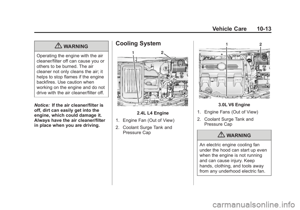 CHEVROLET CAPTIVA SPORT 2013  Owners Manual Black plate (13,1)Chevrolet Captiva Sport Owner Manual - 2013 - crc - 11/12/12
Vehicle Care 10-13
{ WARNINGOperating the engine with the air
cleaner/filter off can cause you or
others to be burned. Th