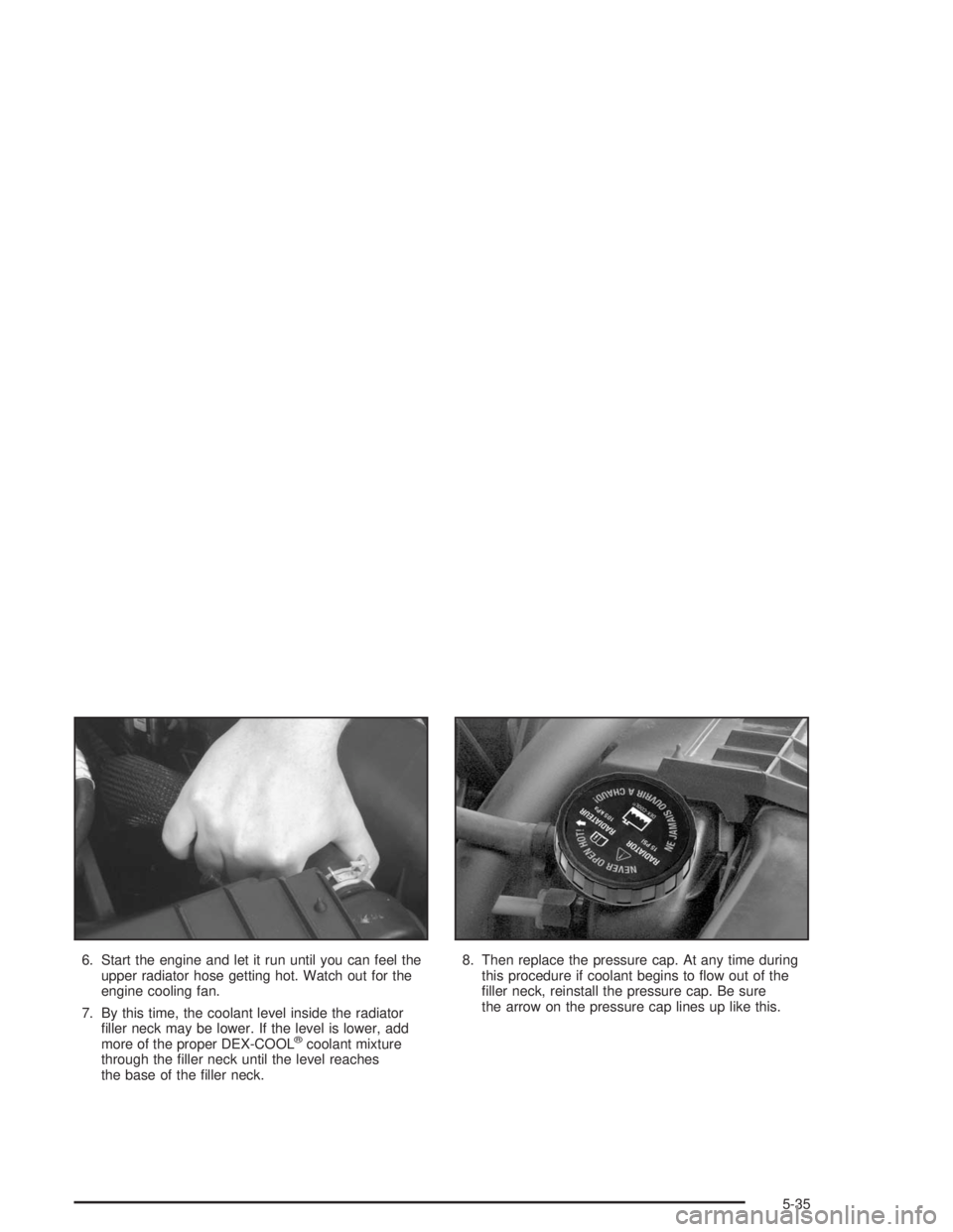 CHEVROLET S10 2004 Owners Manual 6. Start the engine and let it run until you can feel the
upper radiator hose getting hot. Watch out for the
engine cooling fan.
7. By this time, the coolant level inside the radiator
filler neck may CHEVROLET S10 2004 Owners Manual 6. Start the engine and let it run until you can feel the
upper radiator hose getting hot. Watch out for the
engine cooling fan.
7. By this time, the coolant level inside the radiator
filler neck may
