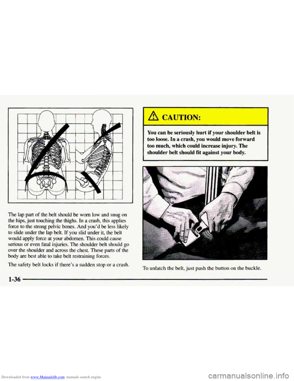 CHEVROLET ASTRO 1997 2.G Service Manual Downloaded from www.Manualslib.com manuals search engine The lap  part of the  belt  should be worn  low  and  snug on 
the  hips,  just touching  the  thighs.  In  a  crash,  this  applies 
force  to