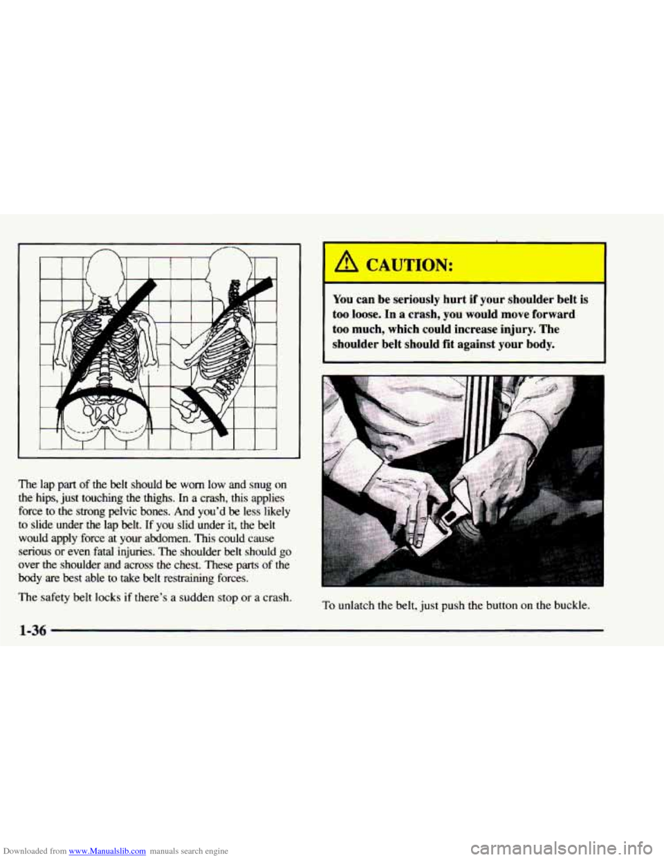 CHEVROLET ASTRO 1997 2.G Service Manual Downloaded from www.Manualslib.com manuals search engine The lap part of the belt should be worn low and snug on
the hips, just touching the thighs. In a crash, this applies
force to CHEVROLET ASTRO 1997 2.G Service Manual Downloaded from www.Manualslib.com manuals search engine The lap part of the belt should be worn low and snug on
the hips, just touching the thighs. In a crash, this applies
force to