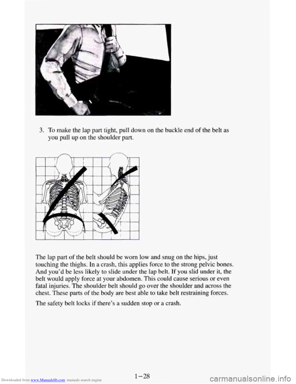 CHEVROLET ASTRO CARGO VAN 1995 2.G Owners Guide Downloaded from www.Manualslib.com manuals search engine 3. To make the lap part tight,  pull down on the buckle end of the belt  as 
you pull  up 
on the shoulder  part. 
The  lap  part 
of the belt 