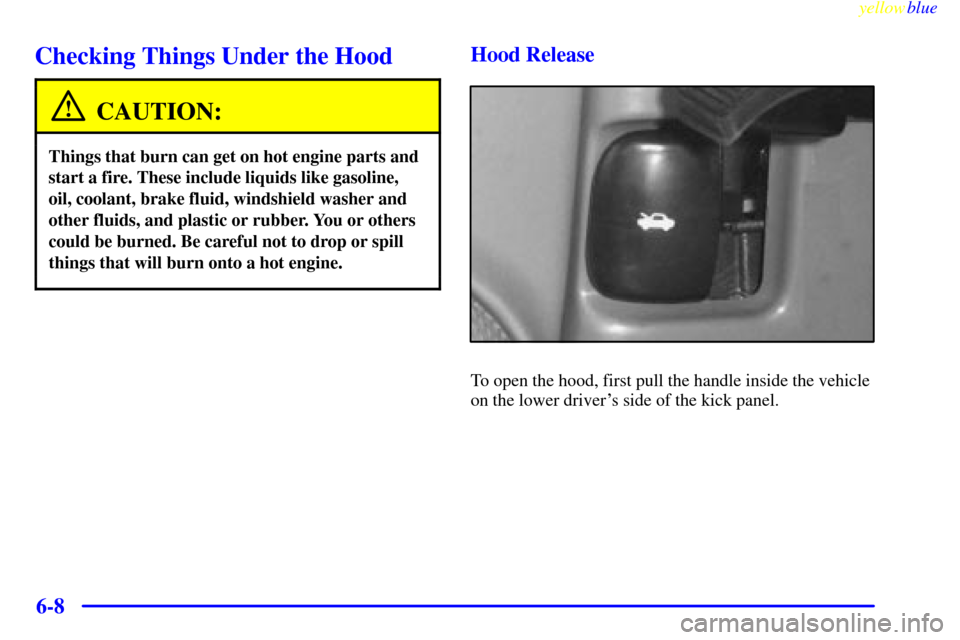 CHEVROLET ASTRO PASSENGER 1999 2.G Owners Manual yellowblue     
6-8
Checking Things Under the Hood
CAUTION:
Things that burn can get on hot engine parts and
start a fire. These include liquids like gasoline,
oil, coolant, brake fluid, windshield wa