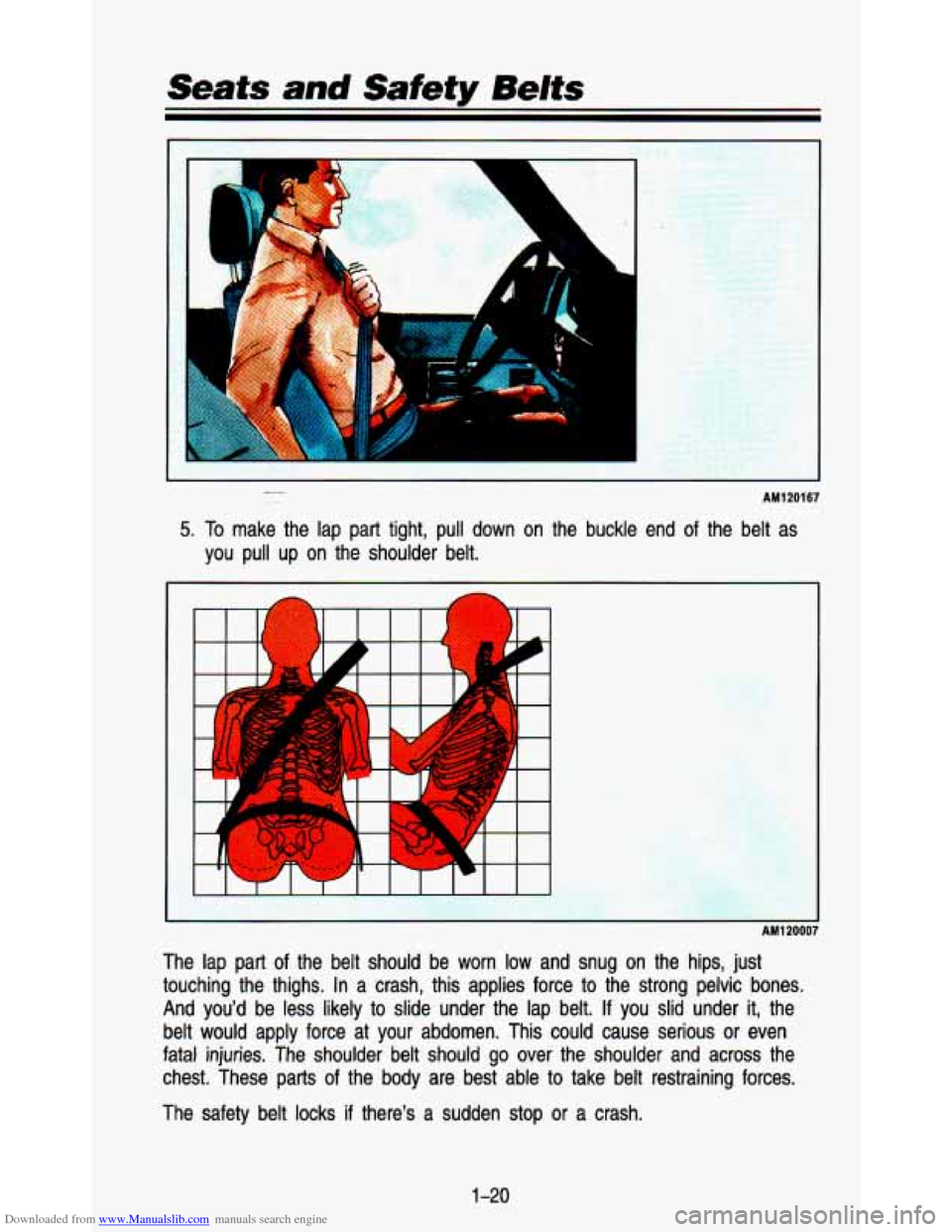 CHEVROLET ASTRO PASSENGER 1993 1.G Owners Guide Downloaded from www.Manualslib.com manuals search engine Seats and Safety Belts 
L 
AM120167 
5. To make  the  lap  part  tight,  pull  down  on  the  buckle  end  of  the \
 belt  as 
you  pull  up  