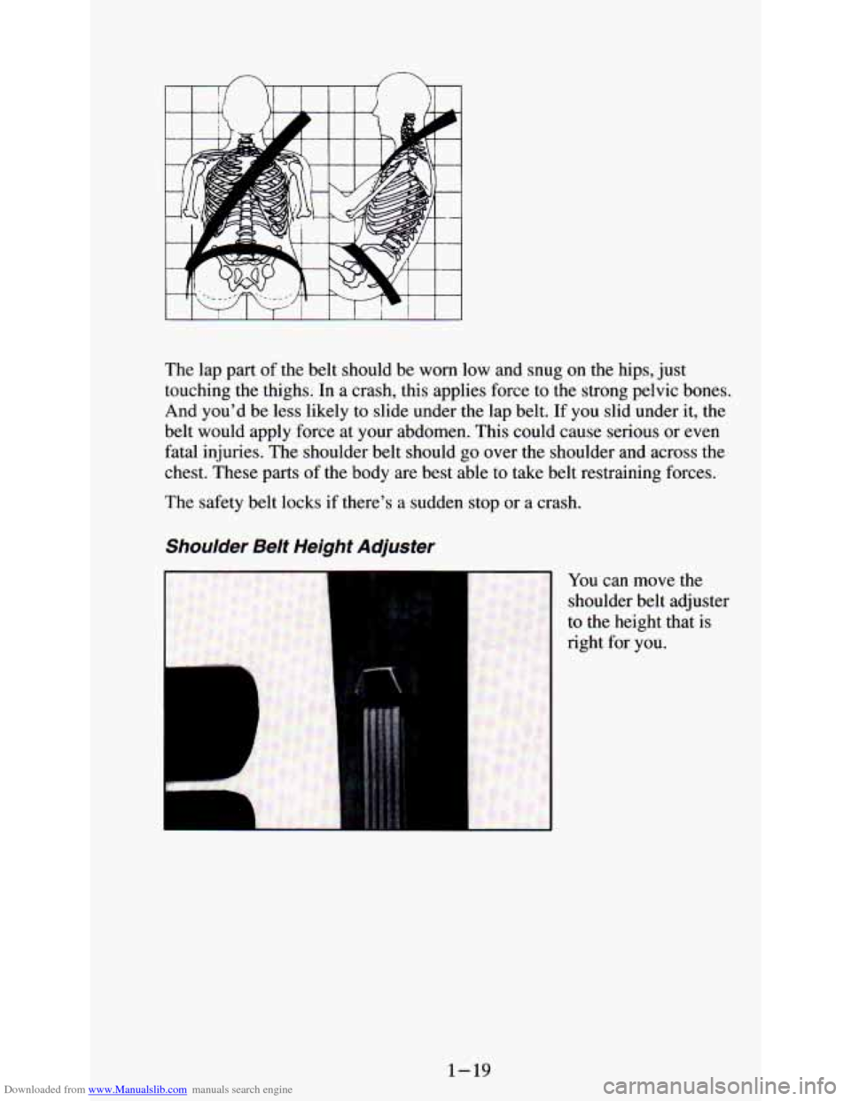 CHEVROLET ASTRO PASSENGER 1994 1.G Owners Manual Downloaded from www.Manualslib.com manuals search engine I I I I I  I  I I I I I 
The lap part  of the  belt  should  be  worn  low  and  snug on the hips,  just 
touching 
the thighs.  In a  crash,  