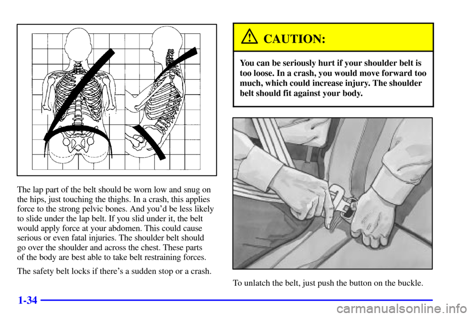 CHEVROLET AVALANCHE 2002 1.G Service Manual 1-34
The lap part of the belt should be worn low and snug on
the hips, just touching the thighs. In a crash, this applies
force to the strong pelvic bones. And youd be less likely
to slide under the CHEVROLET AVALANCHE 2002 1.G Service Manual 1-34
The lap part of the belt should be worn low and snug on
the hips, just touching the thighs. In a crash, this applies
force to the strong pelvic bones. And youd be less likely
to slide under the