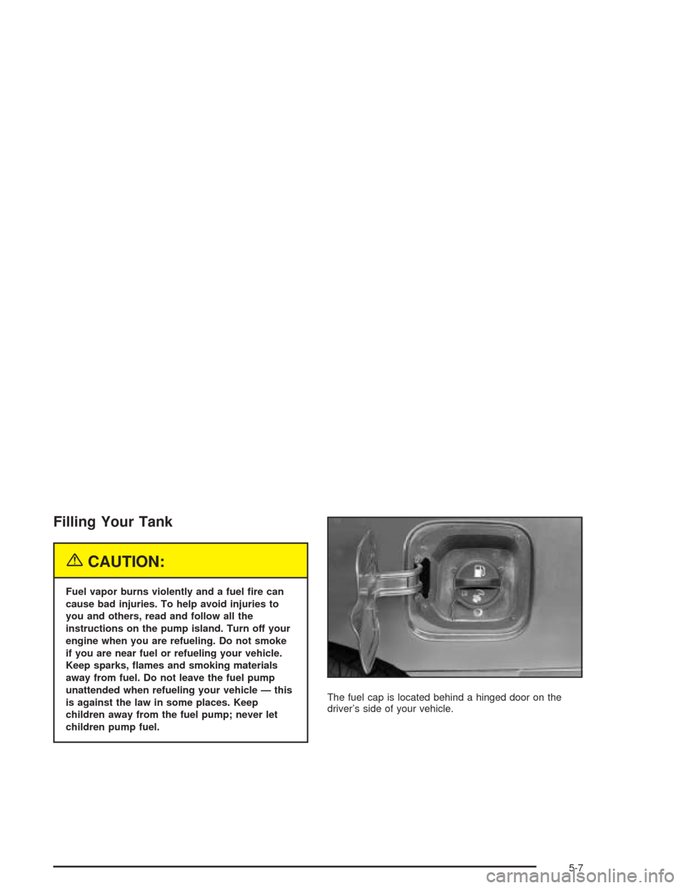 CHEVROLET BLAZER 2004 2.G Owners Manual Filling Your Tank
{CAUTION:
Fuel vapor burns violently and a fuel �re can
cause bad injuries. To help avoid injuries to
you and others, read and follow all the
instructions on the pump island. Turn of