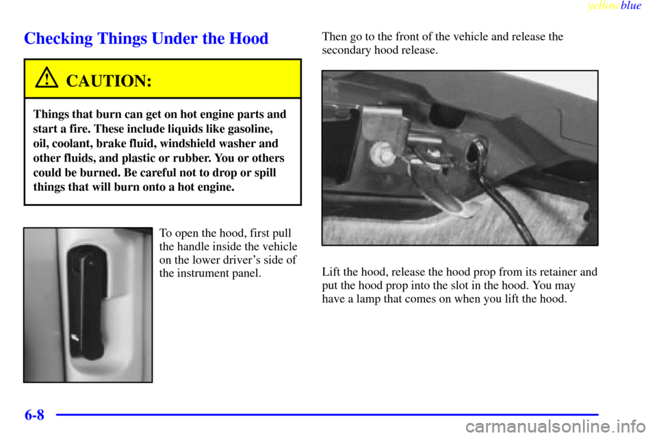 CHEVROLET BLAZER 1999 2.G Owners Manual yellowblue     
6-8
Checking Things Under the Hood
CAUTION:
Things that burn can get on hot engine parts and
start a fire. These include liquids like gasoline,
oil, coolant, brake fluid, windshield wa