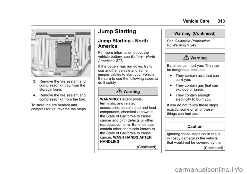CHEVROLET CAMARO 2016 6.G Owners Manual Chevrolet Camaro Owner Manual-Convertible (GMNA-Localizing-U.S./Cana-
da/Mexico-9702260) - 2016 - CRC - 10/28/15
Vehicle Care 313
3. Remove the tire sealant andcompressor kit bag from the
storage foam
