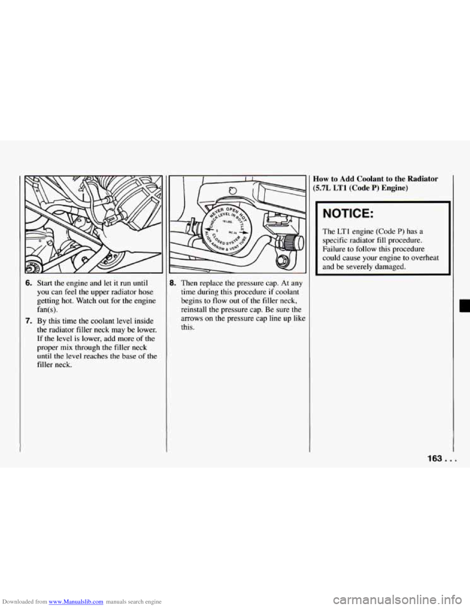 CHEVROLET CAMARO 1994 4.G Owners Manual Downloaded from www.Manualslib.com manuals search engine 6. Start the engine and let it run until
you can feel the upper radiator hose
getting hot. Watch out for the engine
fan(s).
7. By t CHEVROLET CAMARO 1994 4.G Owners Manual Downloaded from www.Manualslib.com manuals search engine 6. Start the engine and let it run until
you can feel the upper radiator hose
getting hot. Watch out for the engine
fan(s).
7. By t