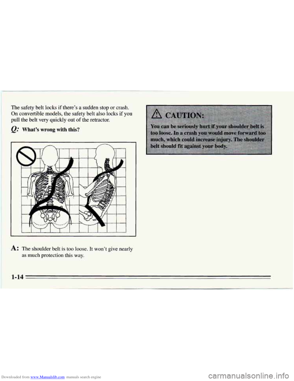 CHEVROLET CAMARO 1995 4.G Owners Manual Downloaded from www.Manualslib.com manuals search engine The safety  belt  locks  if  there’s a sudden  stop  or crash. 
On  convertible  models, the safety belt also  locks if  you 
pull the  belt 