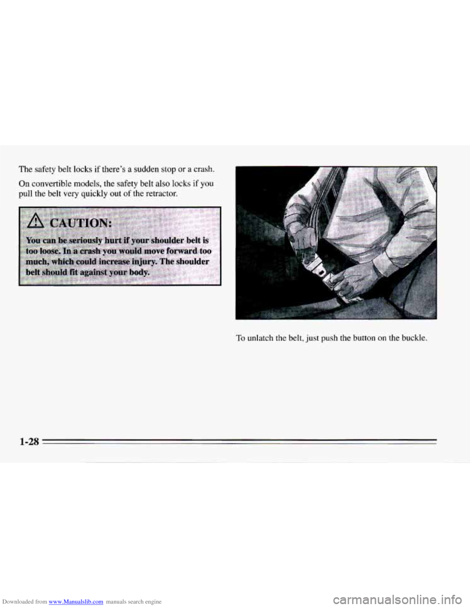 CHEVROLET CAMARO 1995 4.G Owners Guide Downloaded from www.Manualslib.com manuals search engine The safety belt locks if there’s a sudden stop or a crash.
On convertible models, the safety belt also locks if you
pull the belt v CHEVROLET CAMARO 1995 4.G Owners Guide Downloaded from www.Manualslib.com manuals search engine The safety belt locks if there’s a sudden stop or a crash.
On convertible models, the safety belt also locks if you
pull the belt v