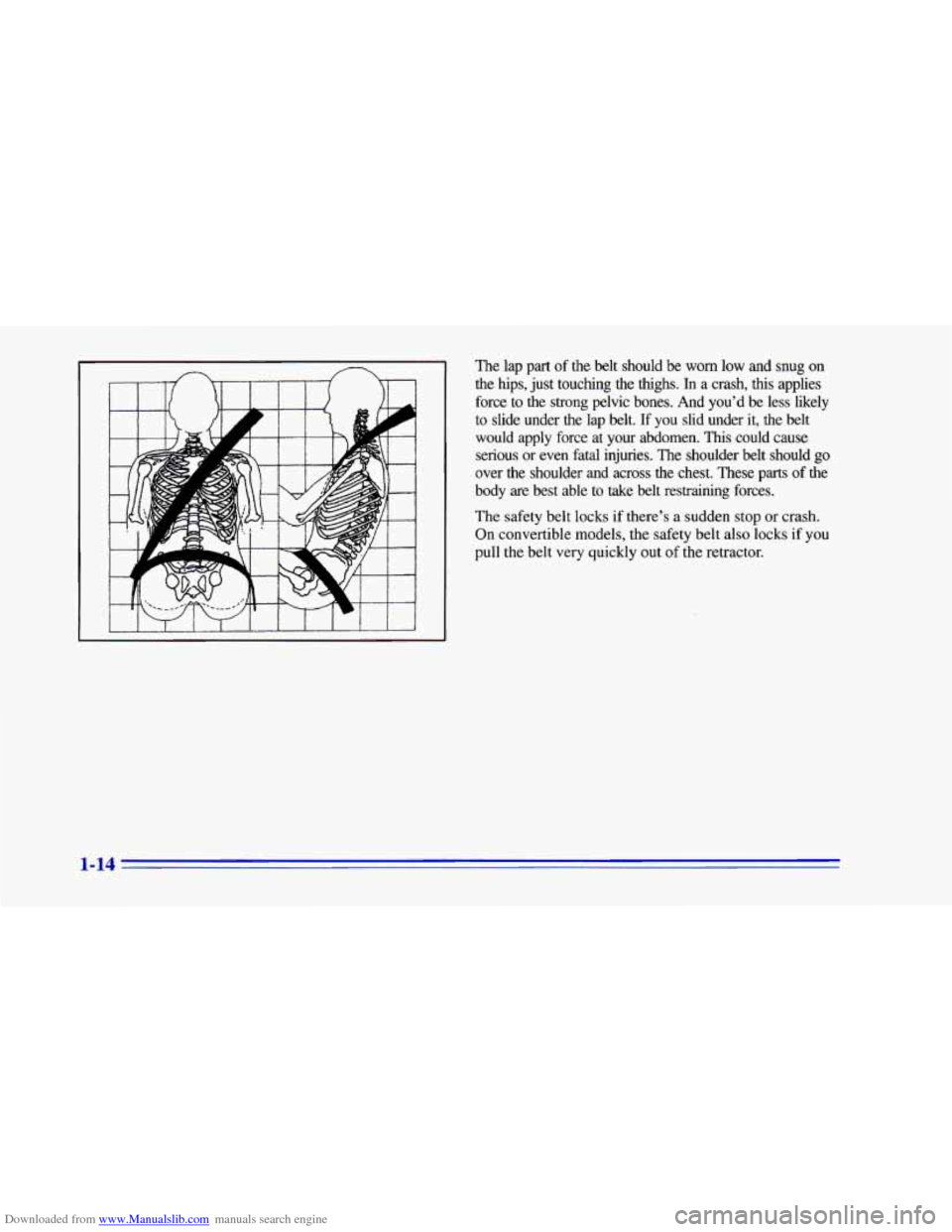 CHEVROLET CAMARO 1996 4.G Owners Manual Downloaded from www.Manualslib.com manuals search engine The lap  part  of  the belt  should be worn low and  snug  on 
the  hips,  just touching  the  thighs.  In  a  crash, 
this applies 
force  to 