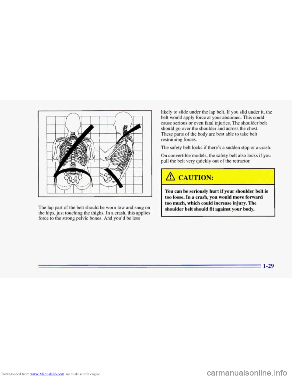 CHEVROLET CAMARO 1996 4.G Owners Guide Downloaded from www.Manualslib.com manuals search engine I I I i
The lap part of the belt should be worn low and snug on
the hips, just touching the thighs. In a crash, this applies
forc CHEVROLET CAMARO 1996 4.G Owners Guide Downloaded from www.Manualslib.com manuals search engine I I I i
The lap part of the belt should be worn low and snug on
the hips, just touching the thighs. In a crash, this applies
forc