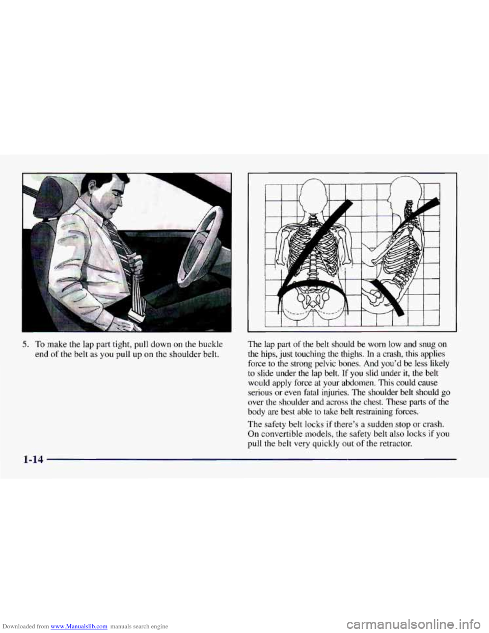 CHEVROLET CAMARO 1997 4.G Owners Manual Downloaded from www.Manualslib.com manuals search engine 5. To make the lap part tight, pull down on the buckle
end
of the belt as you pull up on the shoulder belt. The
lap part
of the belt CHEVROLET CAMARO 1997 4.G Owners Manual Downloaded from www.Manualslib.com manuals search engine 5. To make the lap part tight, pull down on the buckle
end
of the belt as you pull up on the shoulder belt. The
lap part
of the belt